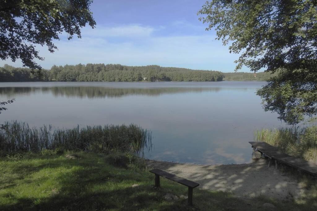 Modrzewiowy Domek Letniskowy - Stare Czaple Brodnica  Exteriör bild