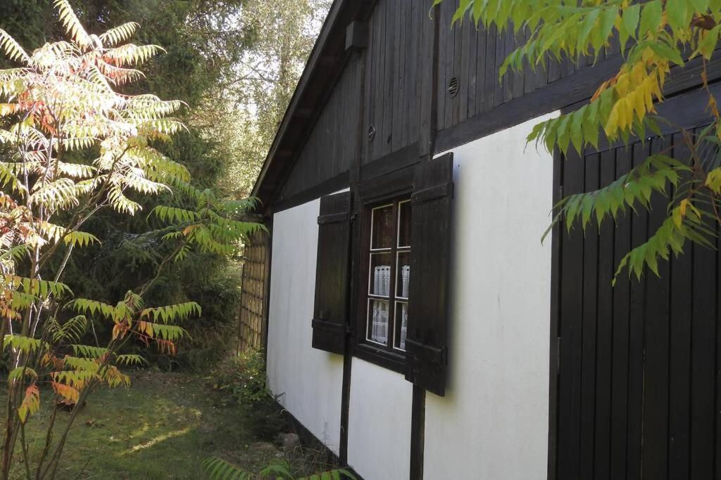 Modrzewiowy Domek Letniskowy - Stare Czaple Brodnica  Exteriör bild