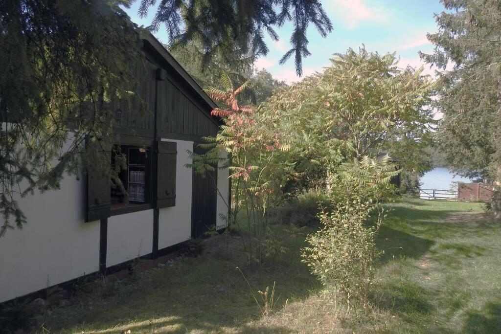 Modrzewiowy Domek Letniskowy - Stare Czaple Brodnica  Exteriör bild