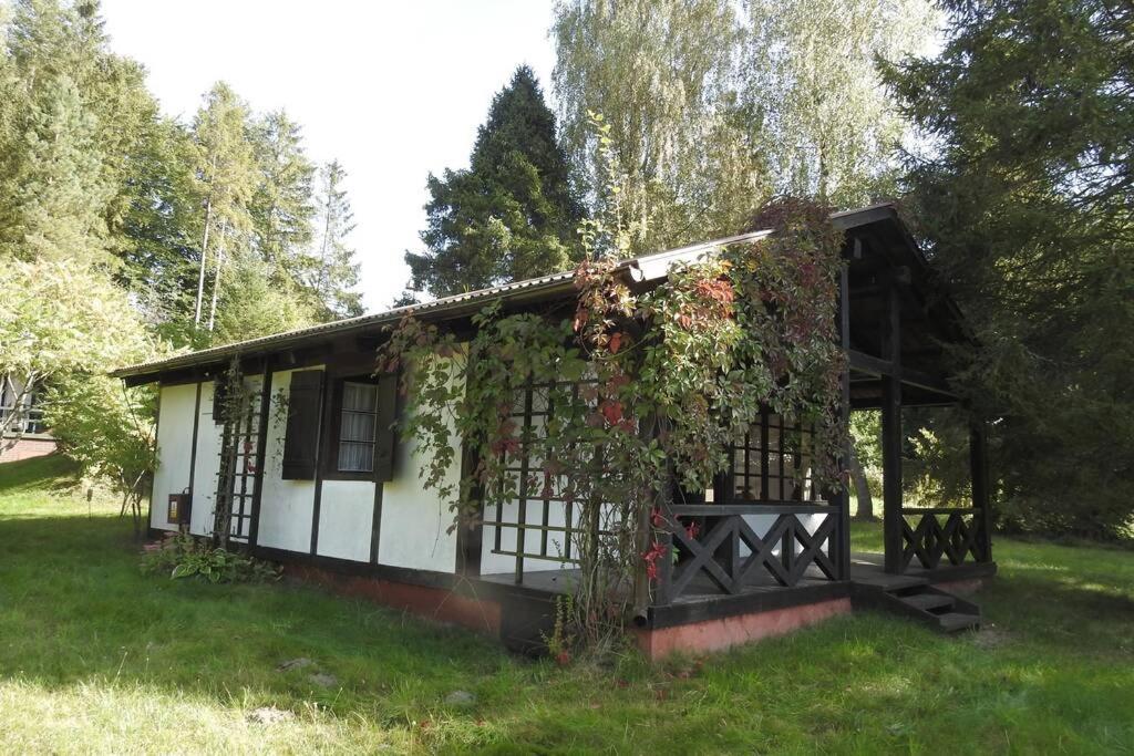 Modrzewiowy Domek Letniskowy - Stare Czaple Brodnica  Exteriör bild