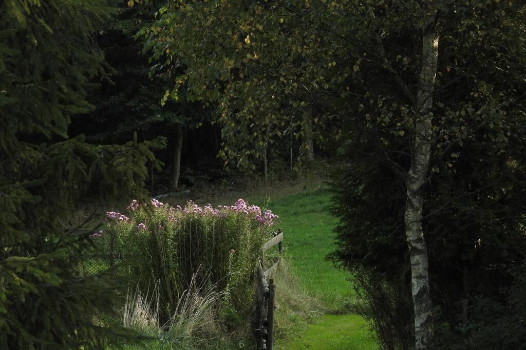 Modrzewiowy Domek Letniskowy - Stare Czaple Brodnica  Exteriör bild